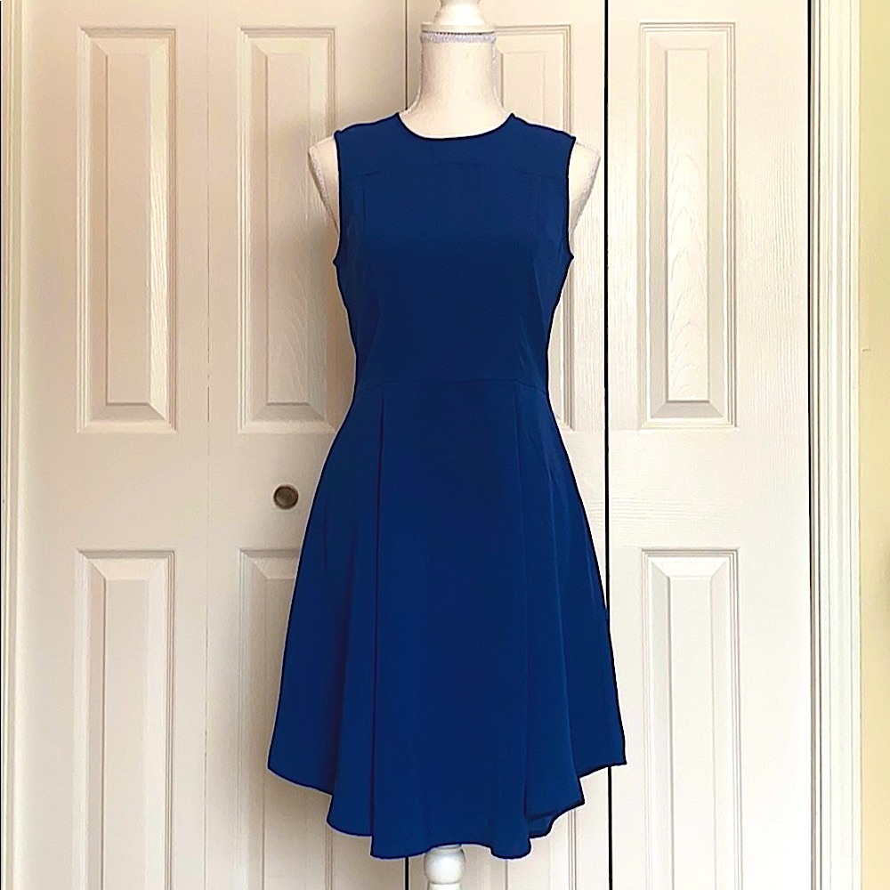 Blue Sleeveless Skater Dress